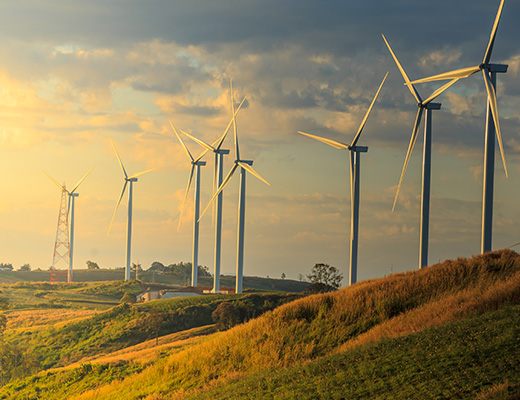 Energy Sector Insight: Technical Trends and Top Picks